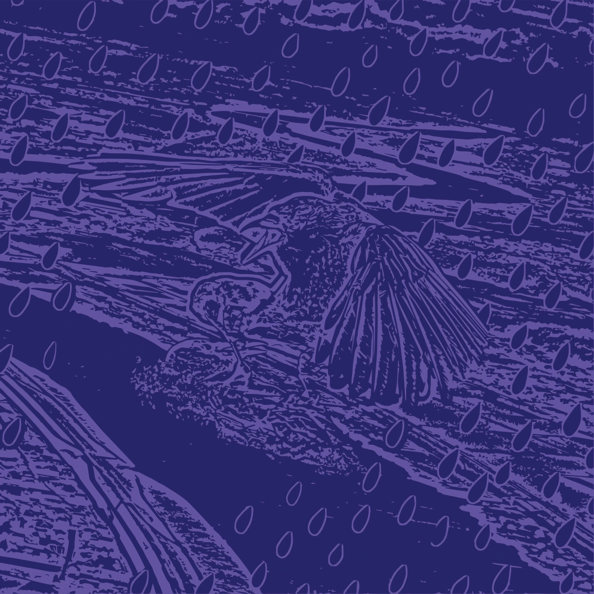 Drowning Crow: Blueberry (375ML)